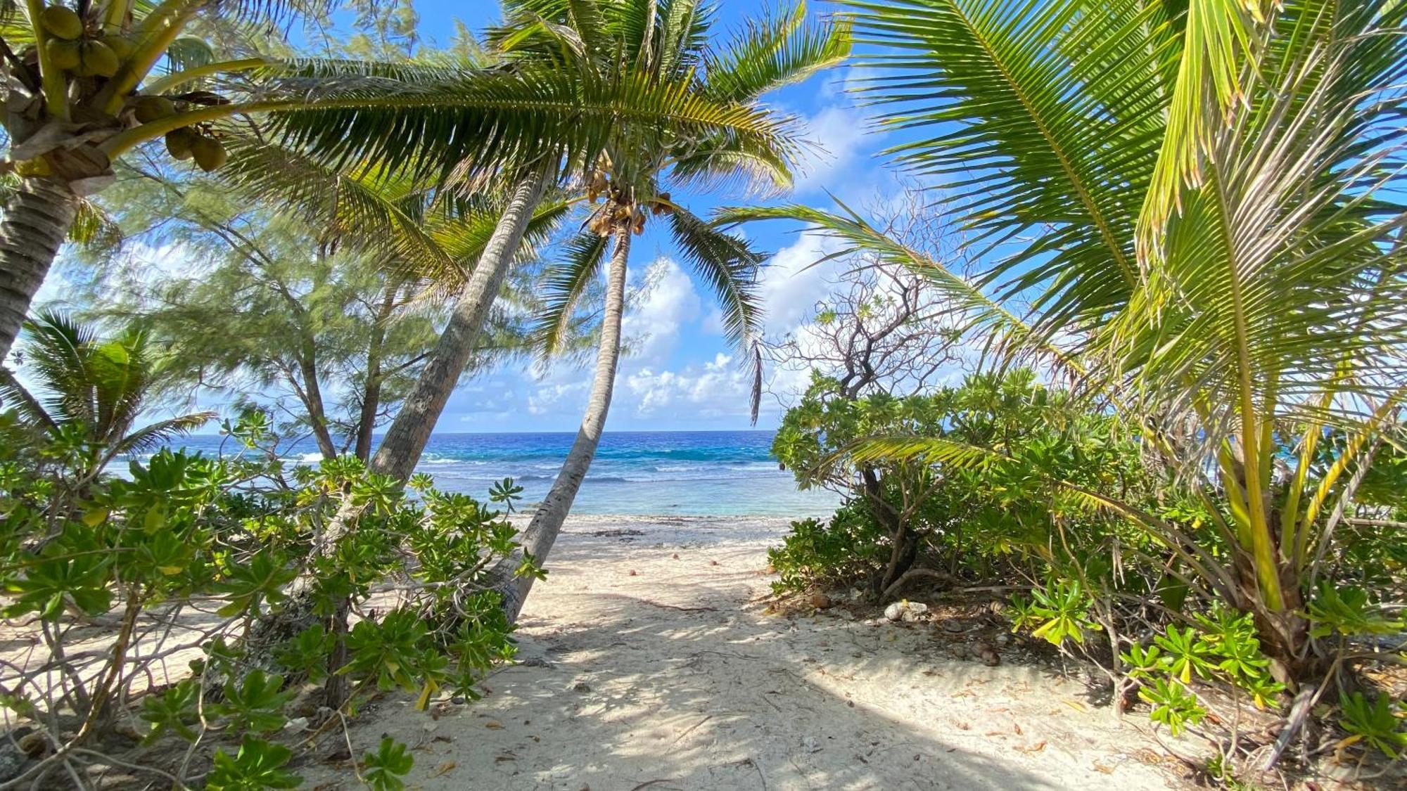 Moorea Chill And Beach Lodge Teavaro Exteriér fotografie